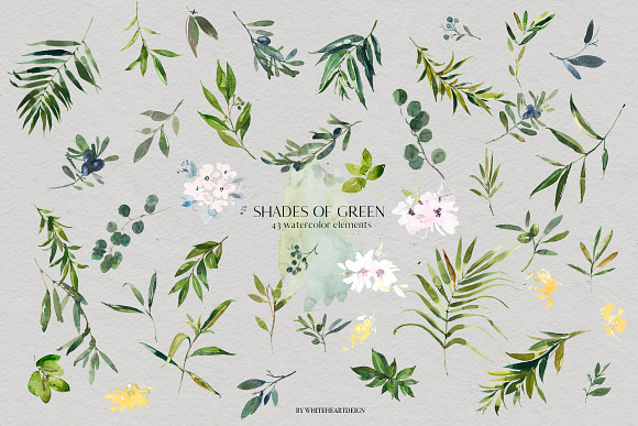 Shades of Green Watercolor Clipart in Illustrations - product preview 7