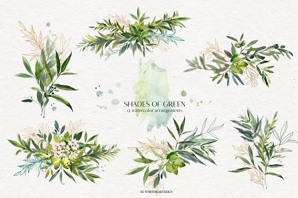 Shades of Green Watercolor Clipart in Illustrations - product preview 17