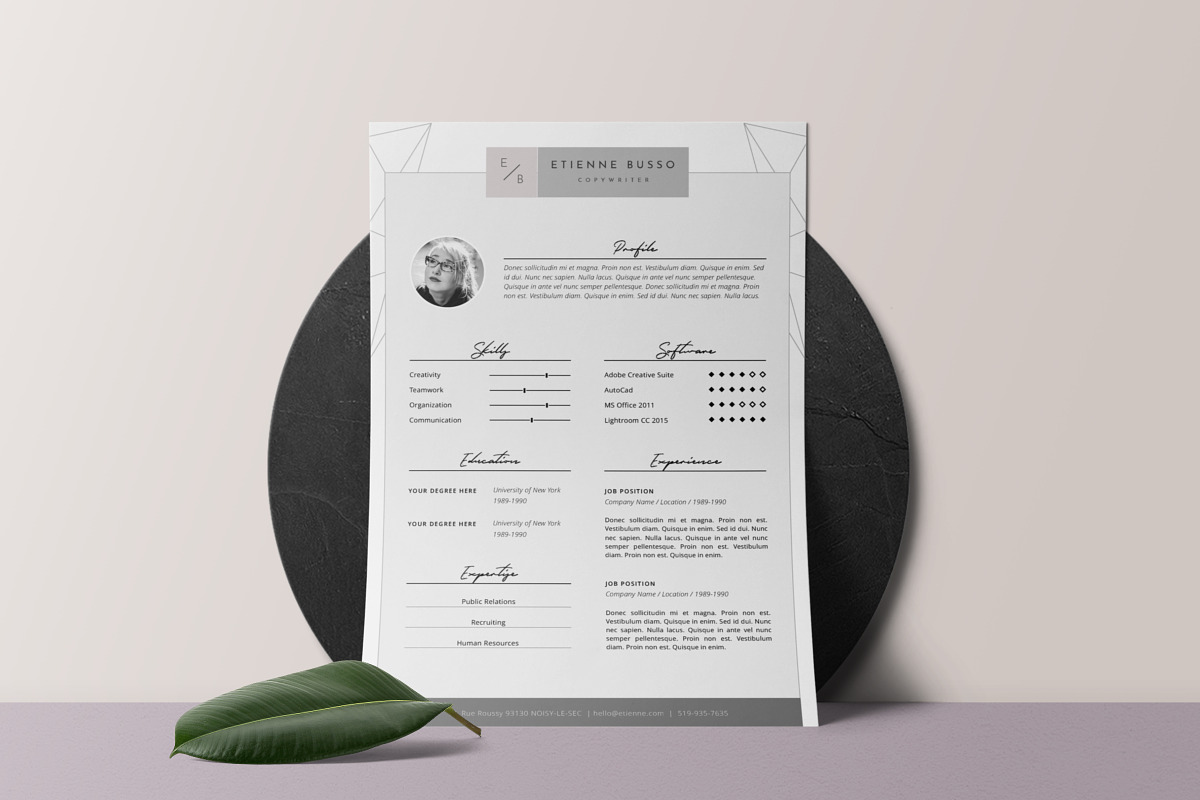 Stylish Resume Template 4 MS Word in Resume Templates - product preview 8