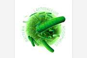 Lactobacillus Probiotics Image