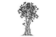 Binded pine tree sketch engraving