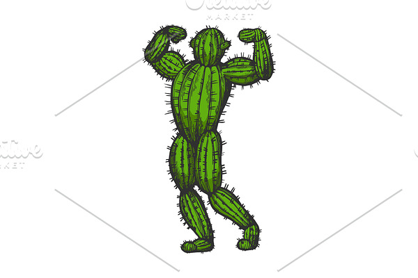 Cactus man posing color sketch