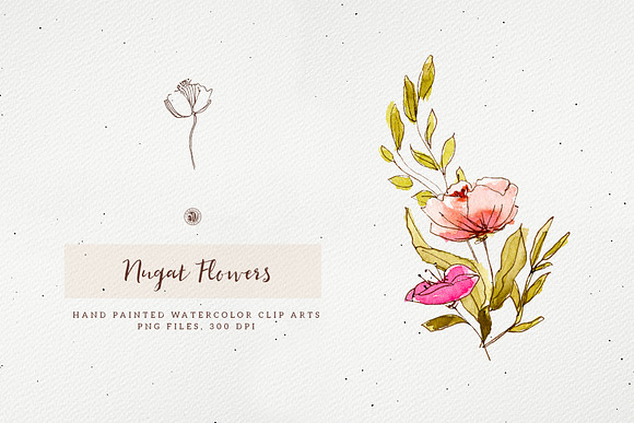 Nugat Flowers in Illustrations - product preview 1