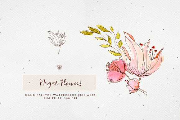 Nugat Flowers in Illustrations - product preview 2