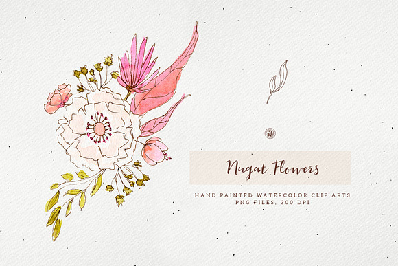 Nugat Flowers in Illustrations - product preview 3