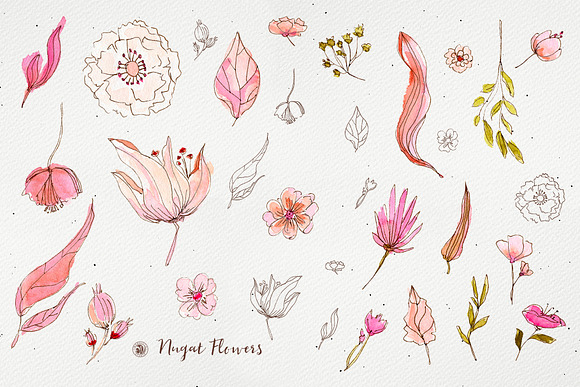 Nugat Flowers in Illustrations - product preview 5