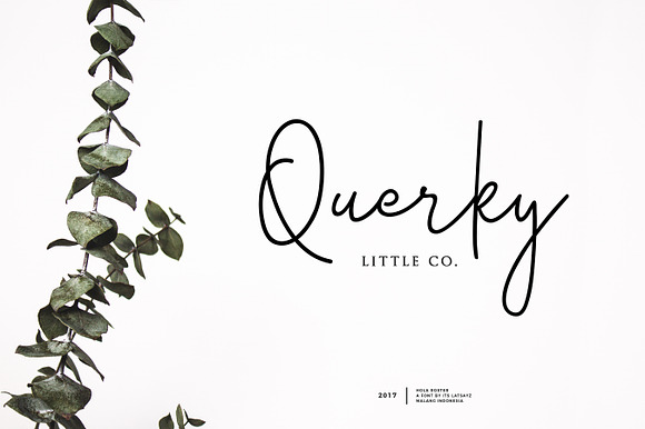 Handlettered Font Bundle | 90% OFF in Script Fonts - product preview 28