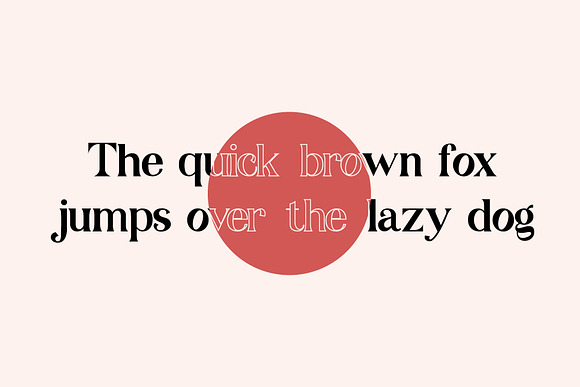Swampcity Typeface Font in Serif Fonts - product preview 3