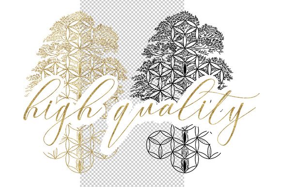 Tree of Life. SVG|PNG|Ai|JPEG in Illustrations - product preview 1