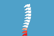 Vector human spine icon isolated