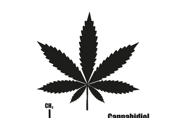 Cannabis sign icon. vector