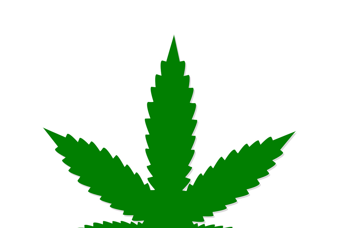 Cannabis sign icon. Vector icon in Illustrations - product preview 8