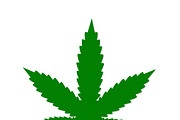 Cannabis sign icon. Vector icon
