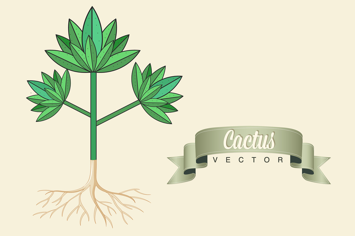 Cactus, Aloe Vera, Vector in Illustrations - product preview 8