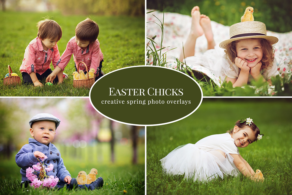 Easter Chicks photo overlays in Add-Ons - product preview 8