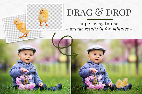 Easter Chicks photo overlays in Add-Ons - product preview 1