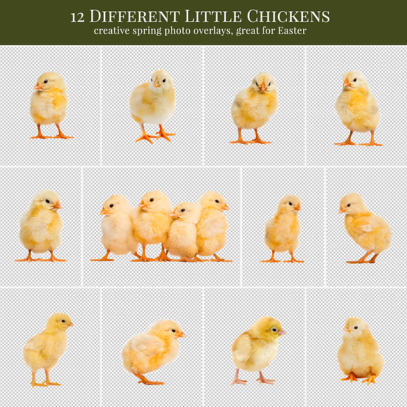Easter Chicks photo overlays in Add-Ons - product preview 4