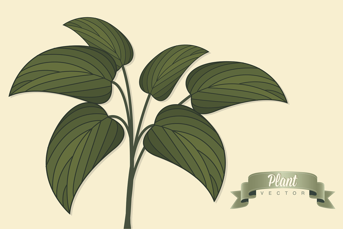 Green leaf vector in Illustrations - product preview 8
