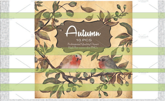 Watercolor Autumn Birds in Illustrations - product preview 1