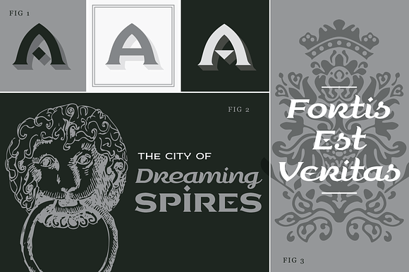 Luxurian Pro AOE Family in Serif Fonts - product preview 3