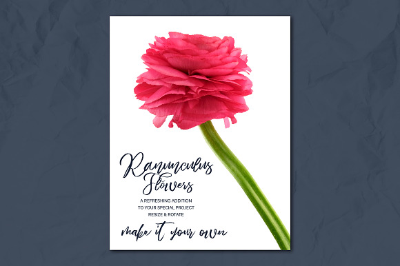 Ranunculus Floral ClipArt Realistic in Objects - product preview 10