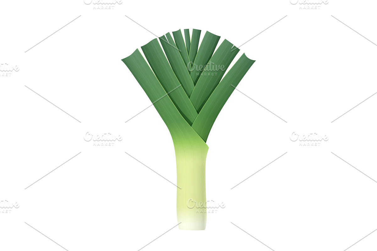 Onion leek. Ripe green vegetable. in Illustrations - product preview 8