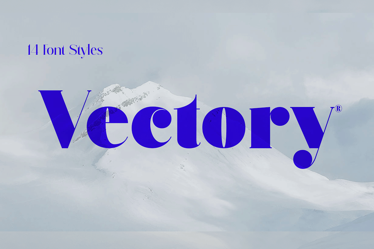 Vectory Family in Serif Fonts - product preview 8