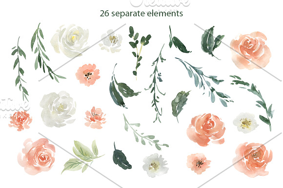 Pink Coral & White Watercolor Flower in Illustrations - product preview 1