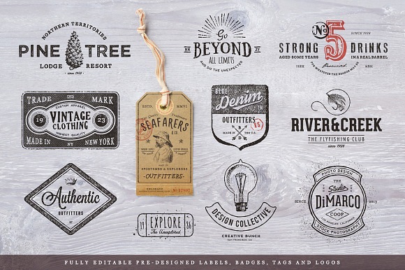 Vintage Badge and Logo Toolkit in Logo Templates - product preview 2