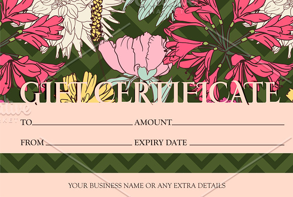 Gift Certificate Nature designVector in Card Templates - product preview 1