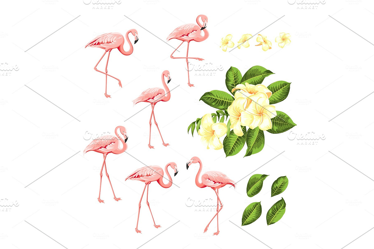 Tropical birds and flowers. in Illustrations - product preview 8
