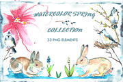Watercolor spring collection.