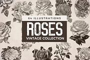 64 Vintage Roses/Illustration Bundle