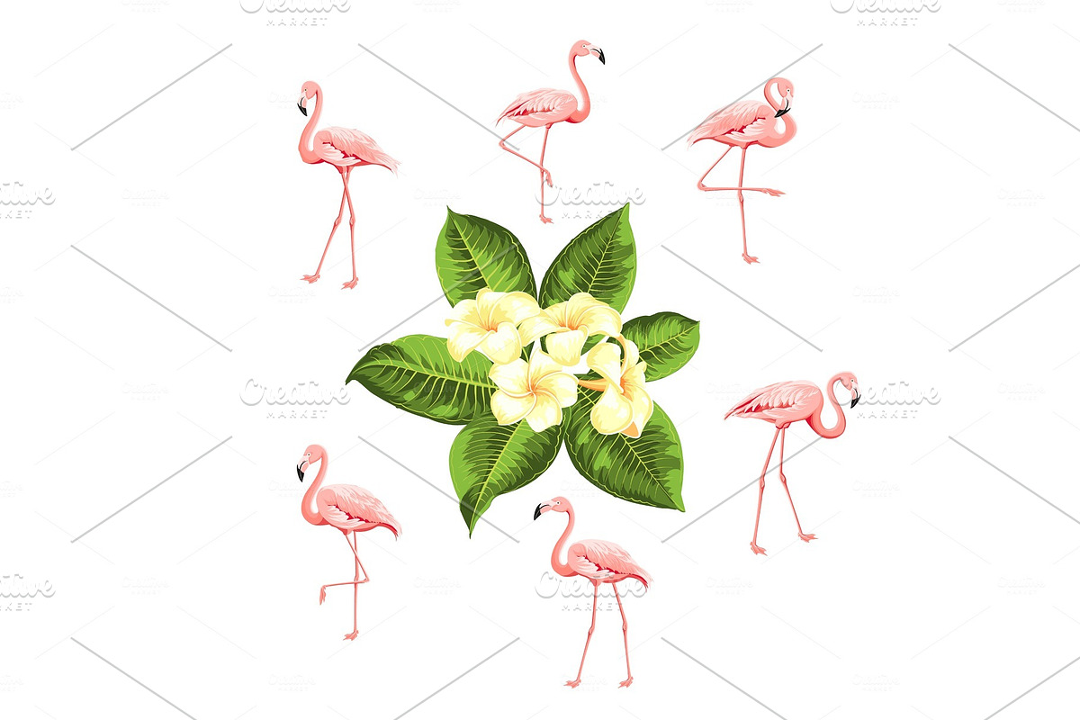 Tropical birds and flowers. in Illustrations - product preview 8