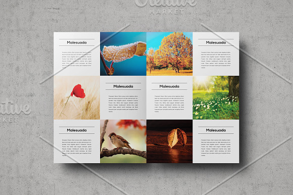 Multipurpose Portfolio Template in Brochure Templates - product preview 7