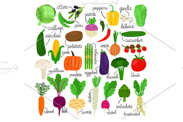 Cartoon vegetables collection