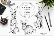 Hand Drawn Rabbits - Clipart Bundle