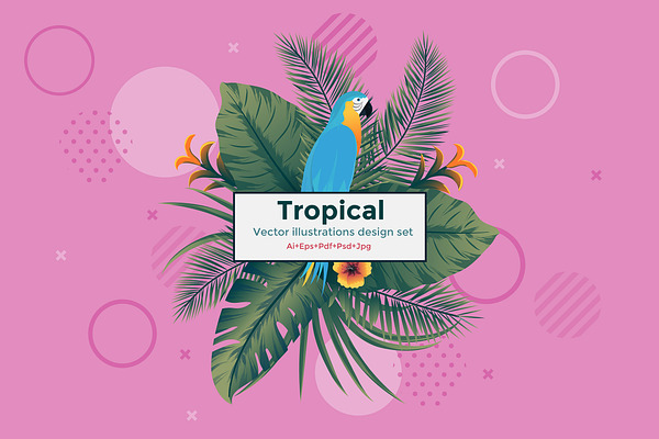 Set of 5 Tropical Flyer Templates