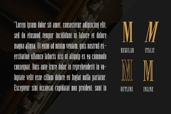 Newston - Stylish Serif Font in Serif Fonts - product preview 3