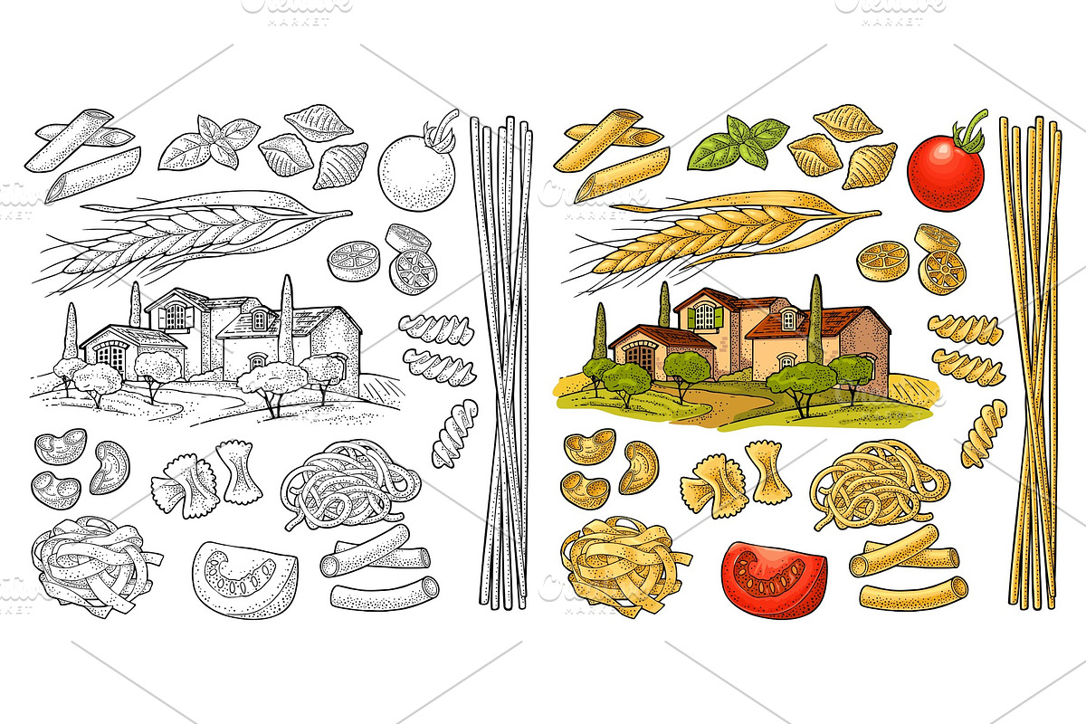 Types macaroni Vector engraving in Illustrations - product preview 8