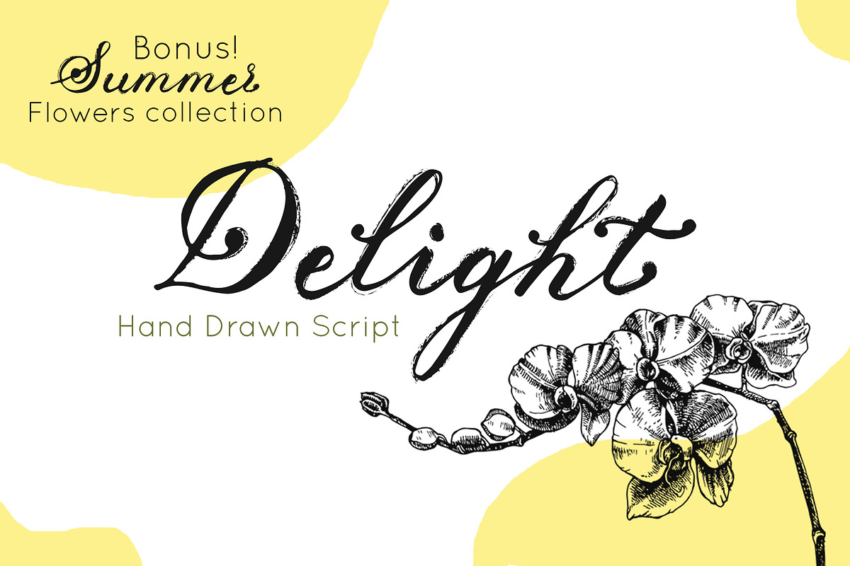 Delight Grunge Handwritten Font in Script Fonts - product preview 8