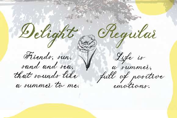 Delight Grunge Handwritten Font in Script Fonts - product preview 8