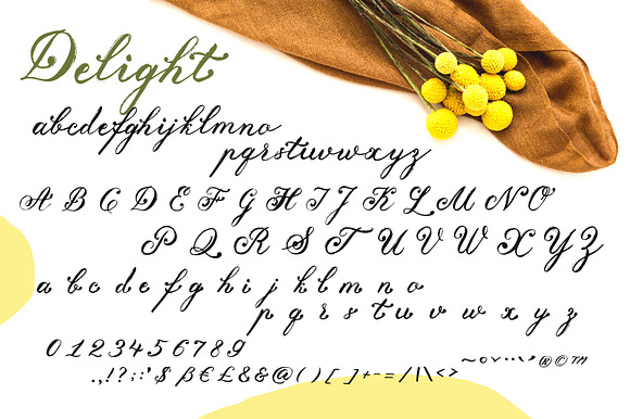 Delight Grunge Handwritten Font in Script Fonts - product preview 9
