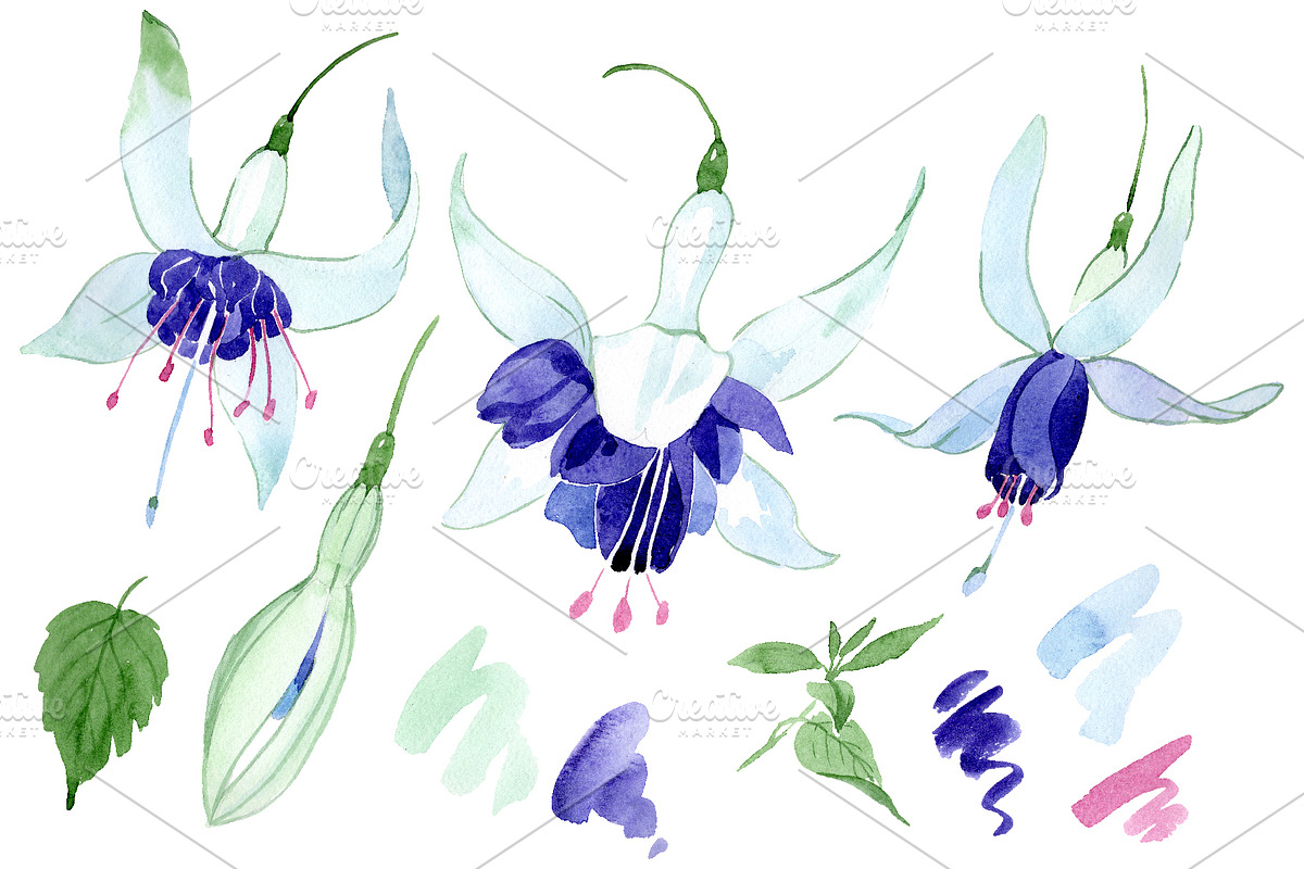 Fuchsia Watercolor png in Illustrations - product preview 8