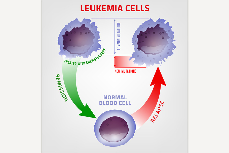 Leukemia medical infographic in Illustrations - product preview 8