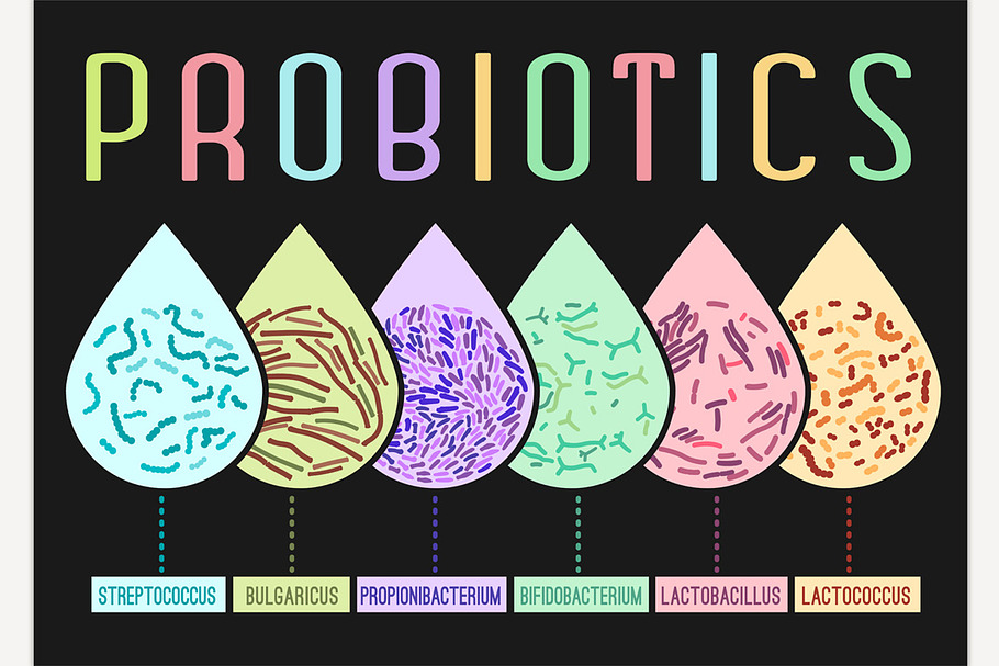Probiotics Types Poster in Illustrations - product preview 8
