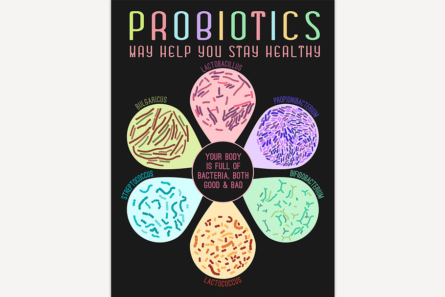 Probiotics Types Poster in Illustrations - product preview 8