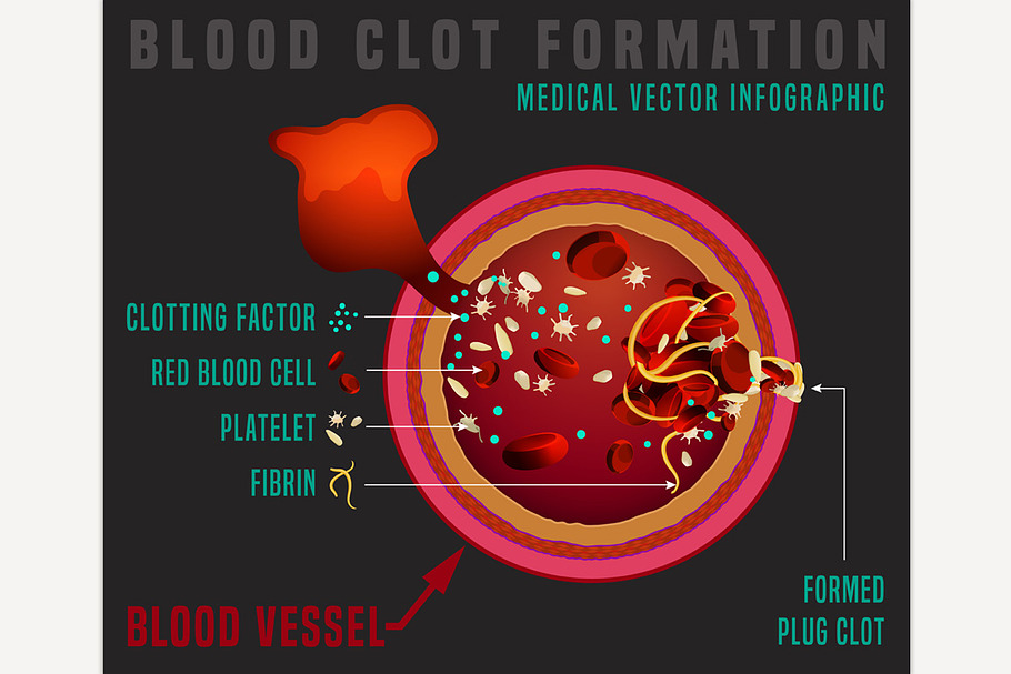 Blood clotting process in Illustrations - product preview 8