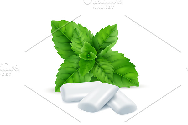 Mint gum. Fresh menthol leaves with