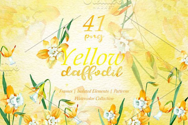 Yellow daffodil Watercolor png